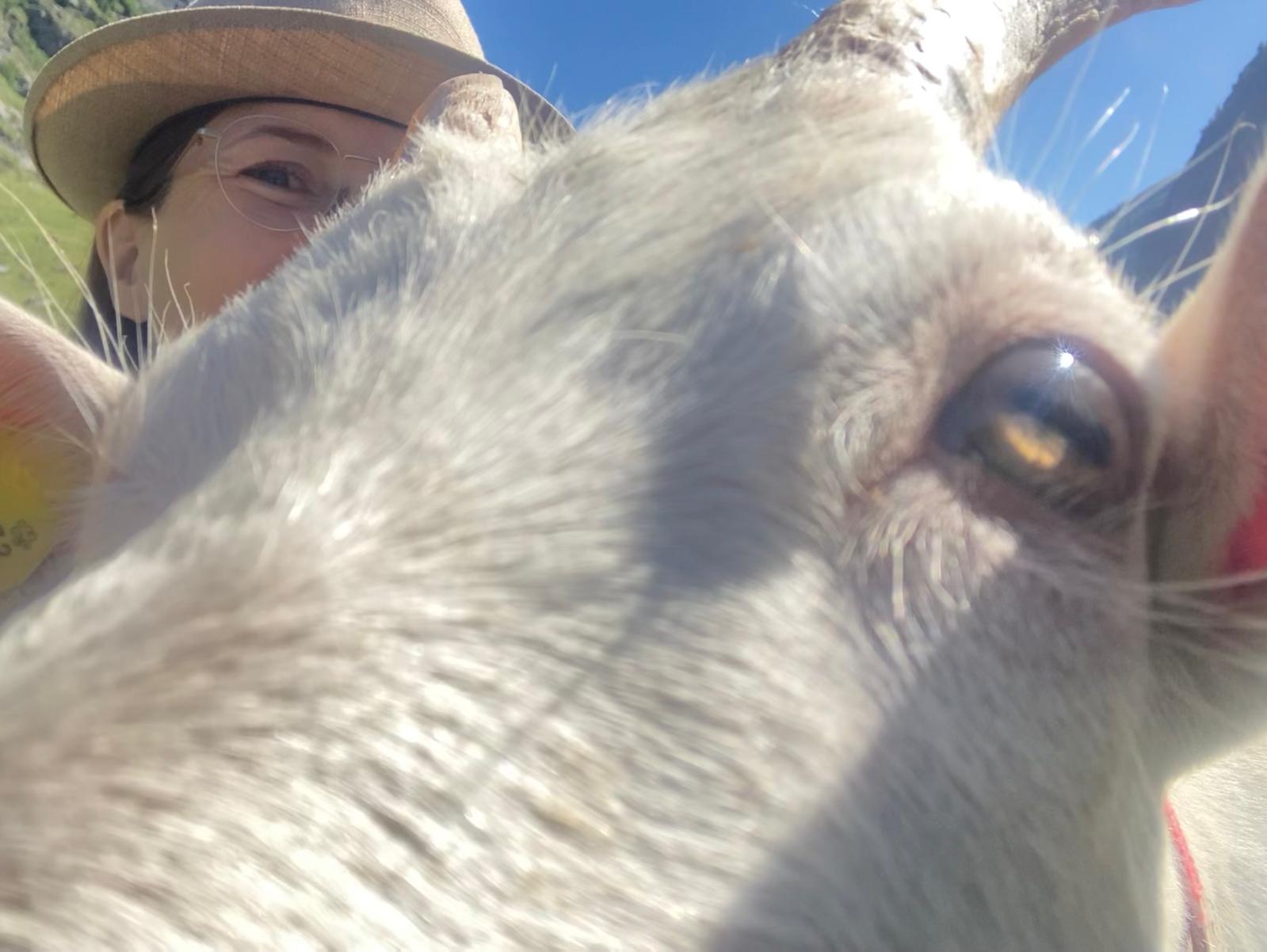 Selfie von Moritz mit unserem Menschen auf der Alp
