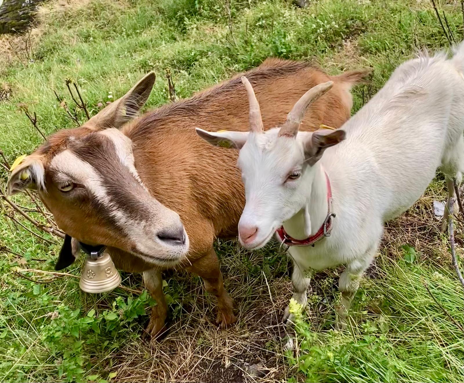 Der kleine Moritz mit seiner Mama